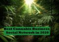 cannabis business social network