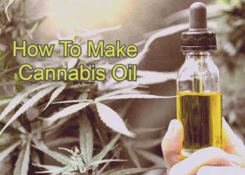 How to make cannabis oil