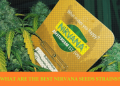 NIRVANA SEEDS