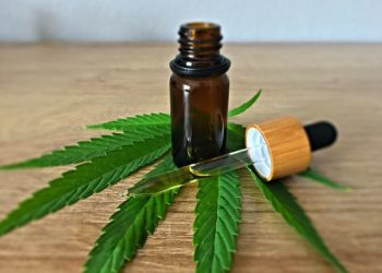CBD Oil